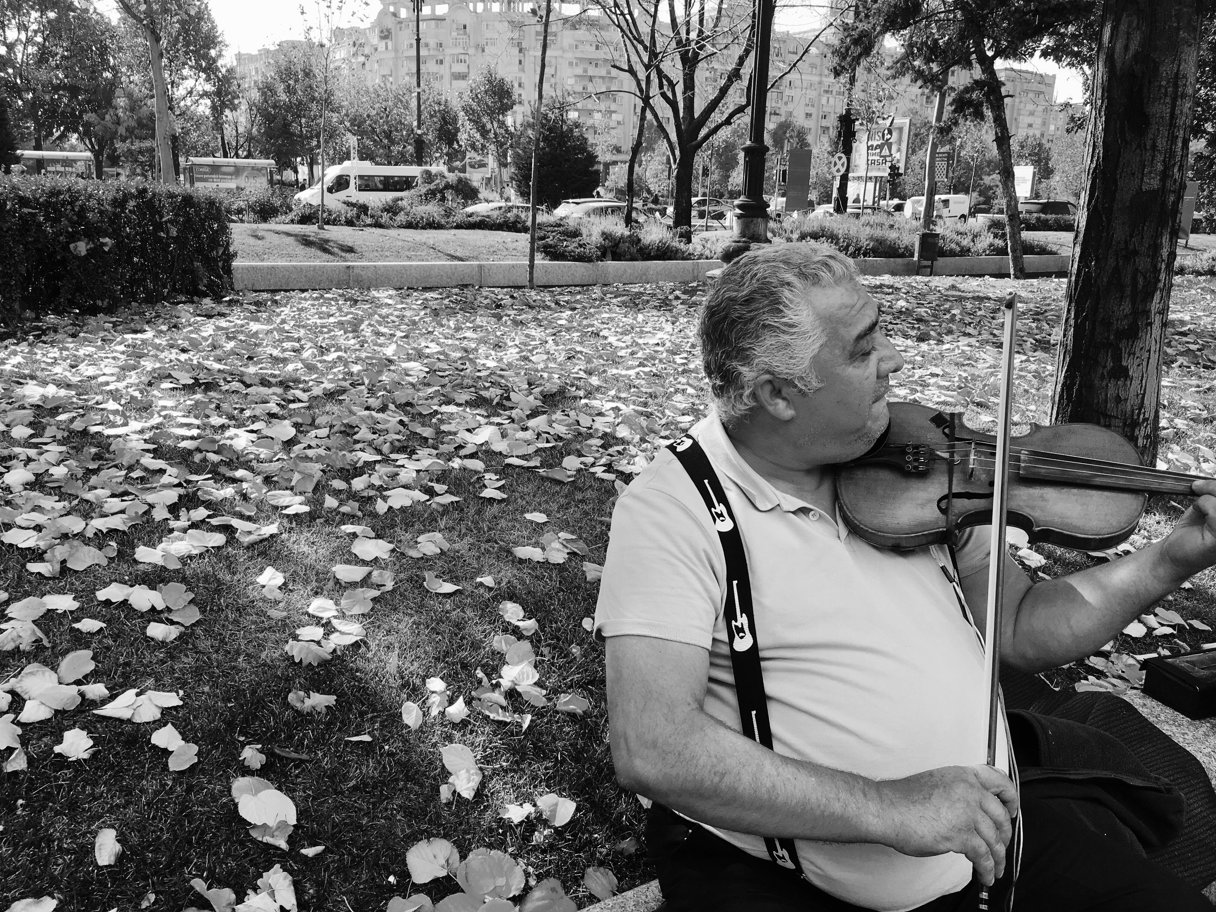Photographie en noir et blanc de Gheorghe en premier plan sur la partie droite de l’image jouant du violon. Il se trouve dans un parc avec des feuilles mortes sur l’herbe. En arrière plan, une rue avec de la circulation et des immeubles communistes.